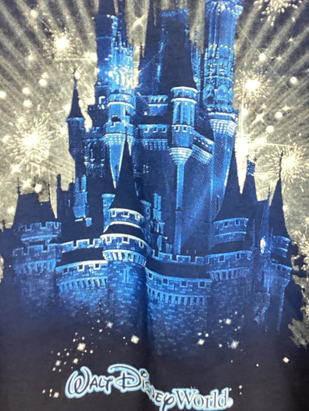 Walt Disney World DisneyParks Blue Short Sleeve T-Shirt NWT 1X - Picture 2 of 9